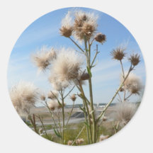 Seeding Plant Stickers