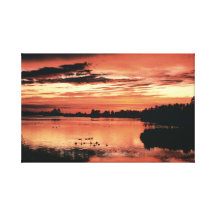 Seney National Wildlife Stretched Canvas Prints