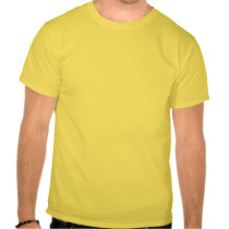 Separate But Equal is Never Equal T Shirt