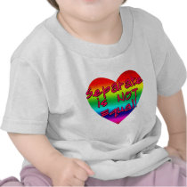 Separate is Not Equal Pro Gay Marriage Products Tee Shirt