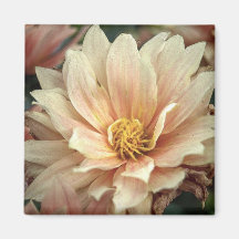 Sepia Bloom - Photo Magnet