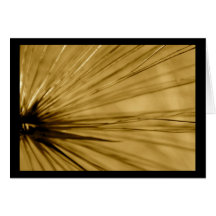 Sepia Ray of Grass Card