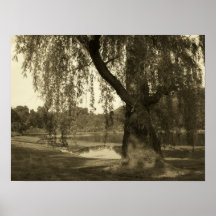 Sepia Tree Poster