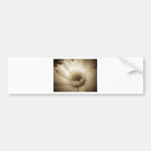Sepia White Flower Bumper Sticker