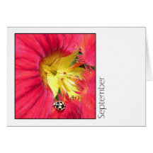 September Cards
