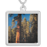 Sequoia National Park , California 2 Custom Jewelry