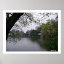 Serene Spring/West Lake, Hangzhou, Zhejiang China Posters