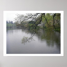 Serene Spring/West Lake, Hangzhou, Zhejiang China Posters