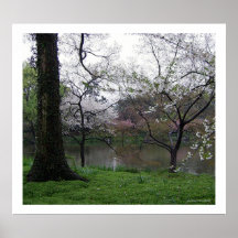 Serene Spring/West Lake, Hangzhou, Zhejiang China Print