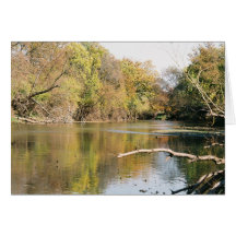Serene Stream Card