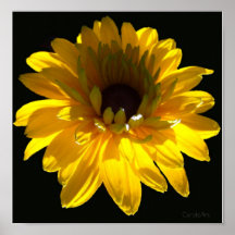 Serene Sunflower Poster