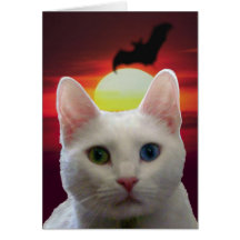 Serenity Cat & Bat Card