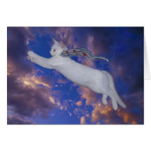 Serenity flying card