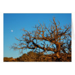 Serenity Greeting Card