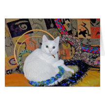 Serenity mischief Card