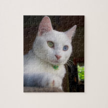 Serenity Odd-Eyed Cat puzzle