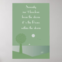 Serenity - peace within the storm poster