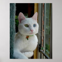 Serenity Smiles poster