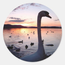 Serenity Sticker
