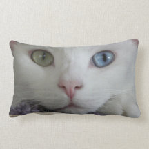 Serenity's 2-faced pillow