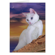 Serenity's Throne card