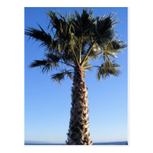 Series - Beaches Postcards