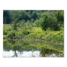 Serine Pond 11 x 8.5 Photographic Print