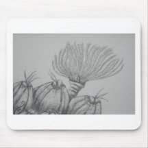 Sessile Barnacle and Feather Duster fan worm Mousemat