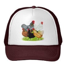 Sex-linked Chickens Quintet Mesh Hats
