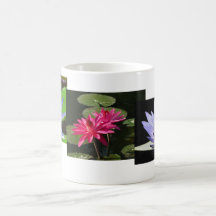 SG collage mug #1   00011100