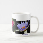 SG collage mug #2 newest   0022