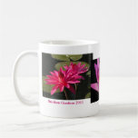 SG collage mug #7n  077