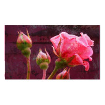 Shabby Chic Pink Rose Business Cards