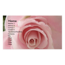 Shabby Sweet Rose Business Cards