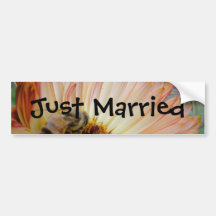 Shades of Honey Bumper Sticker