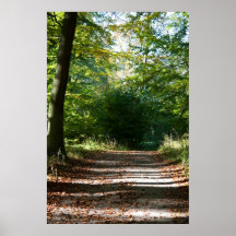 Shadow lane poster