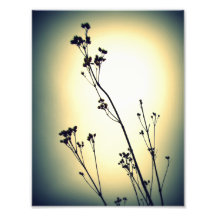 shadow photo print