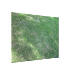 Shady green lawn for background stretched canvas print