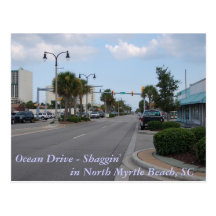 Shaggin on Ocean Drive Postcard