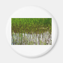 Shallow Pond Reeds Fridge Magnets