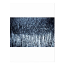Shallow Pond Reeds Postcards
