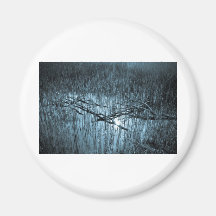 Shallow Pond Reeds Refrigerator Magnet