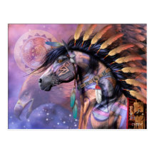 Shaman Postcard