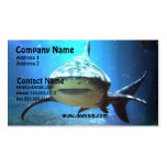 Shark Business Card
