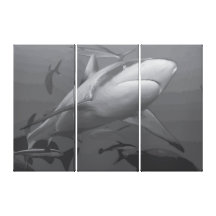 Shark Canvas Print