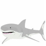 Shark Photo Sculpture