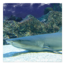 Sharks in Coral Reef Invitation