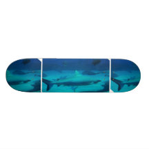 Sharks Skateboard Decks