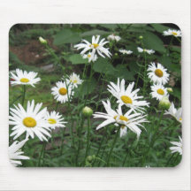 Shasta Daisies Mousepad