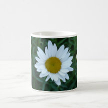 Shasta Daisy Coffee Mug